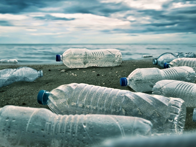 environmental pollution